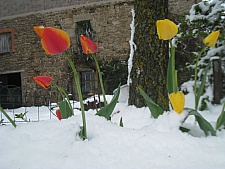 St Jacques 053.jpg St Jacques 053.jpg